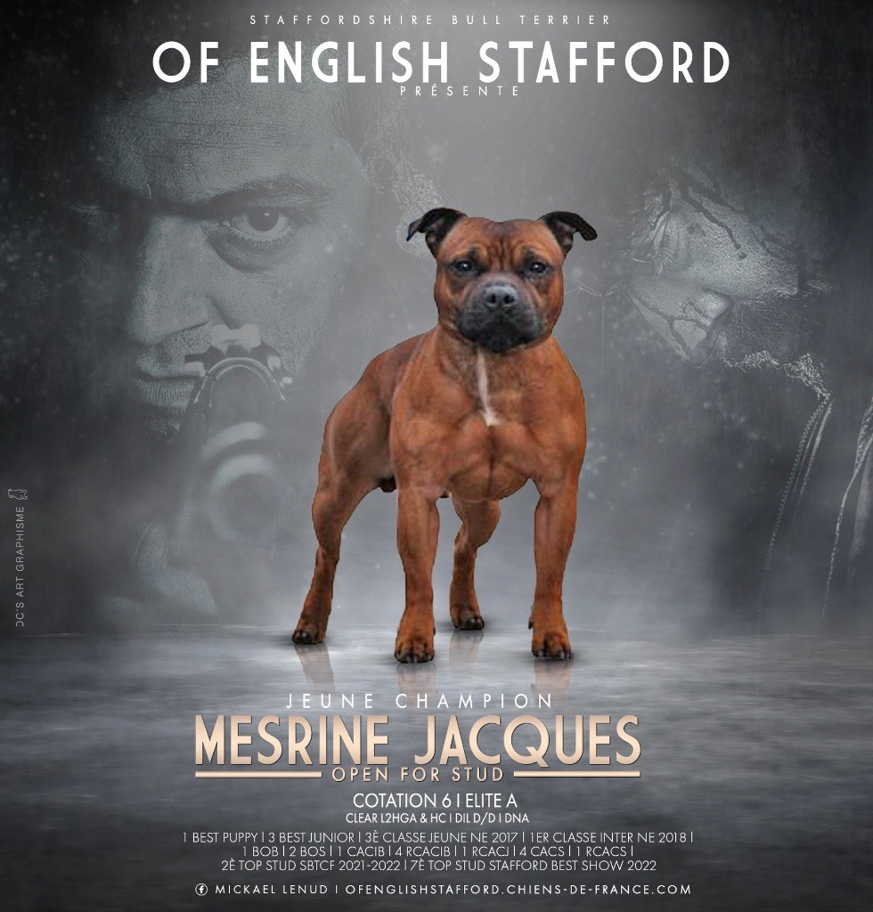 Jch mesrine jacques Of English Stafford